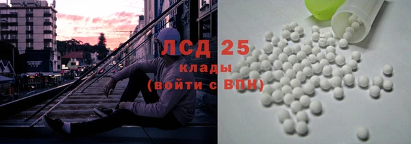 молекула духа Богородицк