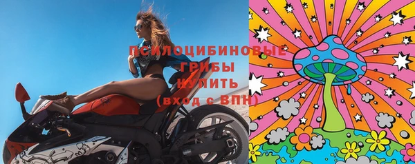 молекула духа Богородицк