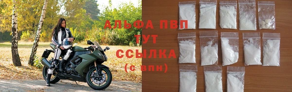 a pvp Бородино